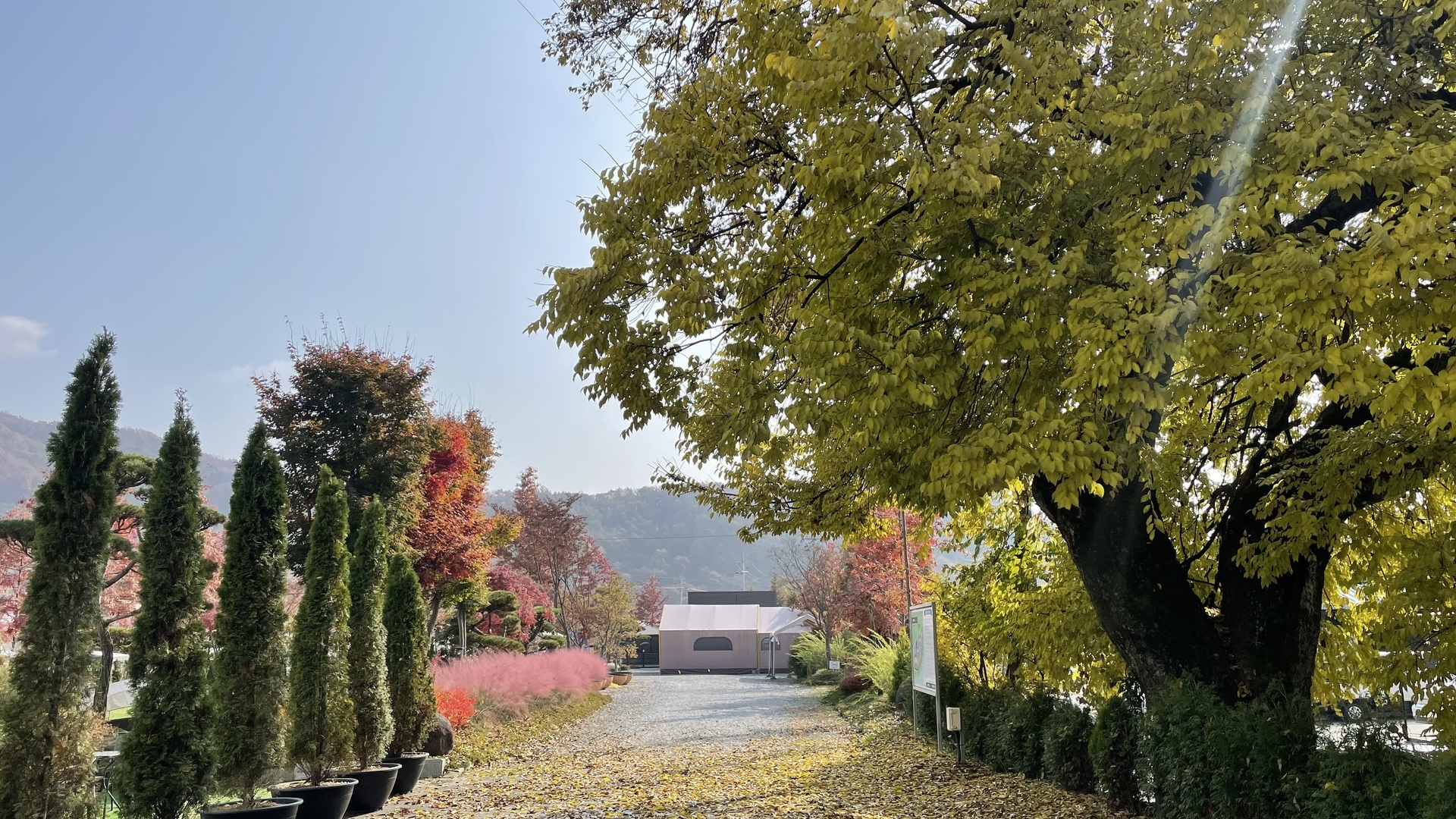 Jeongan Glamping#Jeongan Glamping
