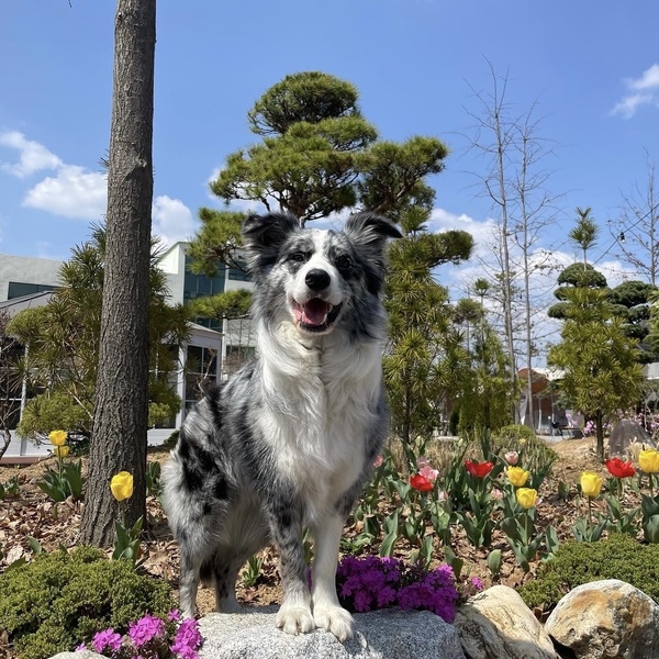 외부